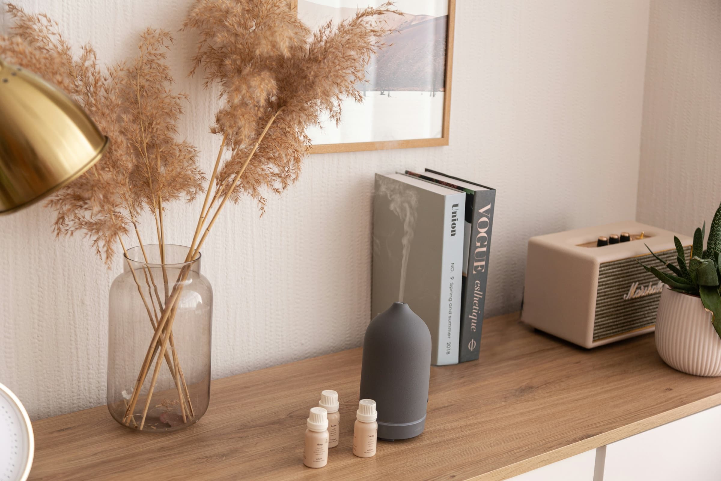 A wooden shelf styled with a glass vase of dried grasses, coffee table books and a small planter